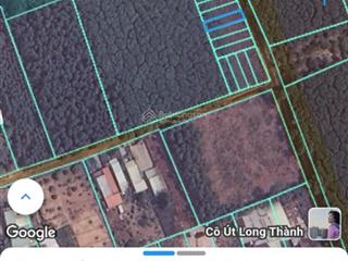 Đất chính chủ, đường nhựa 1/ tân hiệp, long thành