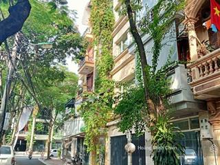 Bán nhà phân lô vỉa hè nguyễn thị định, diện tích 90m², giá 34 tỷ
