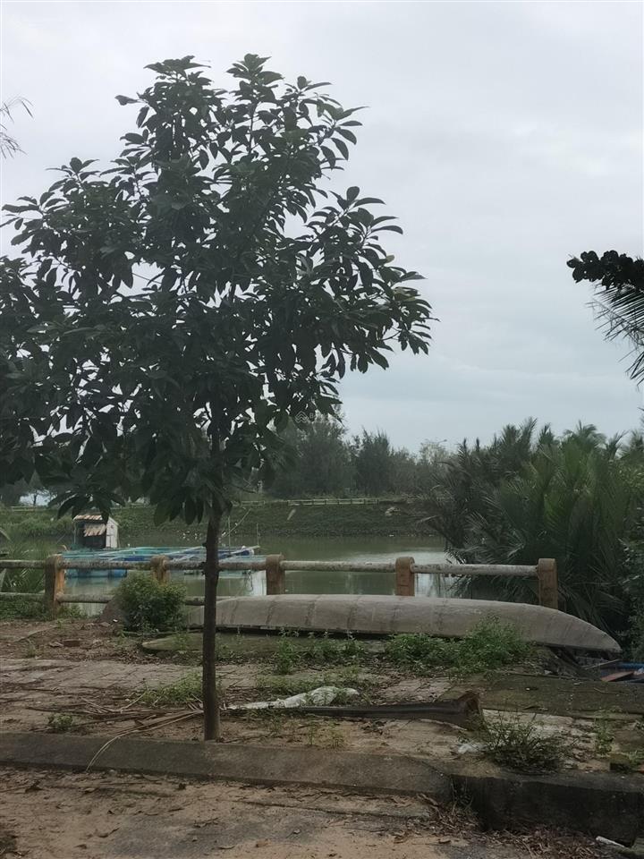 Đất biển cửa đại không gian nghỉ dưỡng yên bình