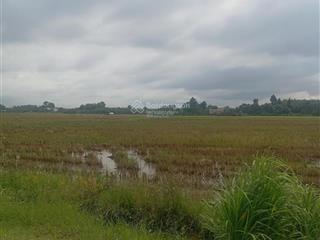 Bán đất tại suối tiên, diên khánh, khánh hòa, 97 tỷ, 5364.2 m2
