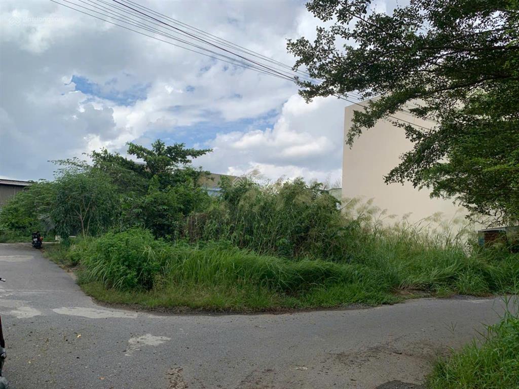 Lô góc 134m2 nằm ngay kdc rạch tôm, nhà bè
