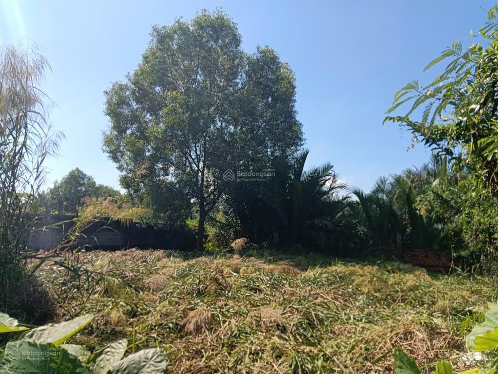 Bán đất hẻm nguyễn bình, kế khu hoàng hoa 224m2  giá chỉ 25 triệu/m2