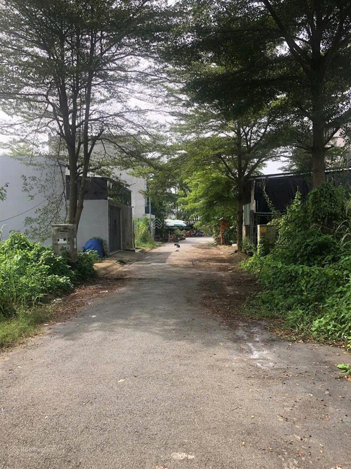 Bán lô đất kdc ven sông nguyễn bình 85m2  đường 6m