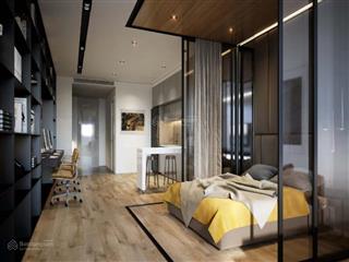 Bán nhanh căn hộ chung cư 1pn, 1wc tại the everrich infinity, an dương vương, q5.