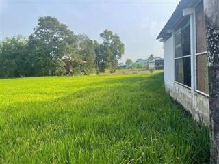 TÔI CHÍNH CHỦ BÁN ĐẤT LÔ ĐẤT XÃ CẦN ĐƯỚC, TỈNH TÂY NINH.