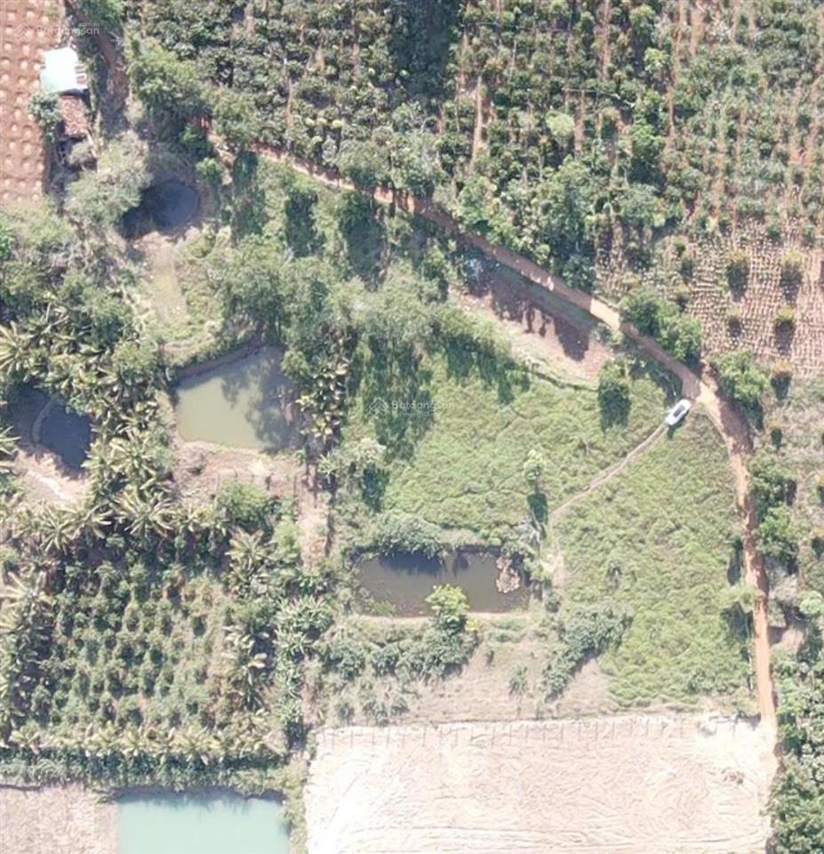 Đất thổ cư mặt tiền dã tượng, phường buôn hồ. 4200m2