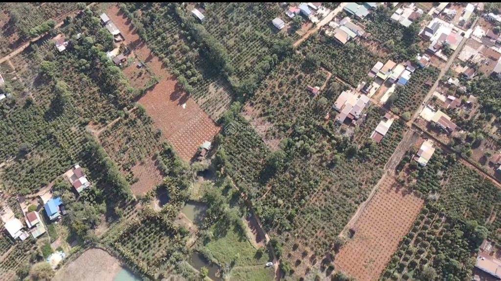 Đất thổ cư mặt tiền dã tượng, phường buôn hồ. 4200m2