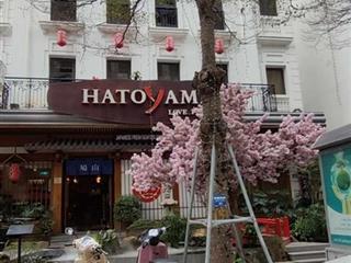 (hàng mới) tòa mặt phố nguyễn chánh 128m2 mt 7.6m 7t thông sàn thang máy đang kd cực đông khách