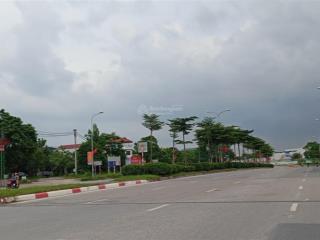 Tuyệt đỉnh sáp mai.hoa hậu võng la cũ. giá đẹp. kinh doanh
