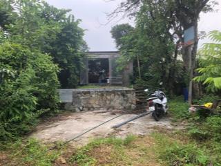 Nhà cấp 4 mới xây, có 1 phòng 35 mét, trên tổng diện tich 450 mét vuông, mặt tiền 10 mét, mặt đường