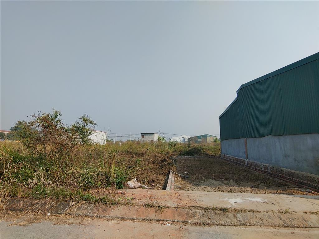 Bán đất 46m2 dịch vụ khu Trũng - Kim Chung - Hoài Đức(sdt liên hệ: 0915458886)