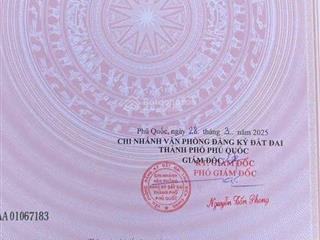 Mặt tiền đường cây thông ngoài  đặc khu phú quốc