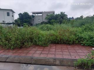 Đất đấu giá tổ 4, quang minh, 125m2, mt 7m, 7.5 tỷ, mê linh