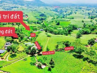 Bán đất tại mỹ thuận, tân sơn, phú thọ, 799 triệu, 3044 m2, uy tín, giá tốt