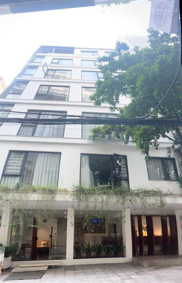 Bán tòa nhà phố đào tấn ba đình 219m2 x 7 tầng mặt tiền 13,9m lô góc đắc địa chỉ 479 tr/m2