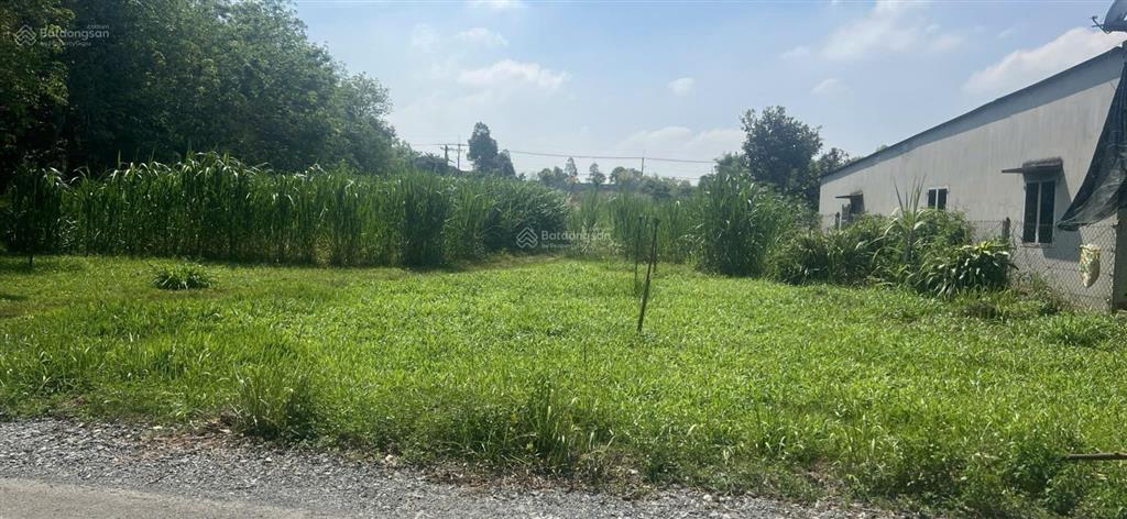 Bán đất 3812.5m2 tại nguyễn thị dòn, nhuận đức, củ chi, giá ưu đãi 14 tỷ vnd