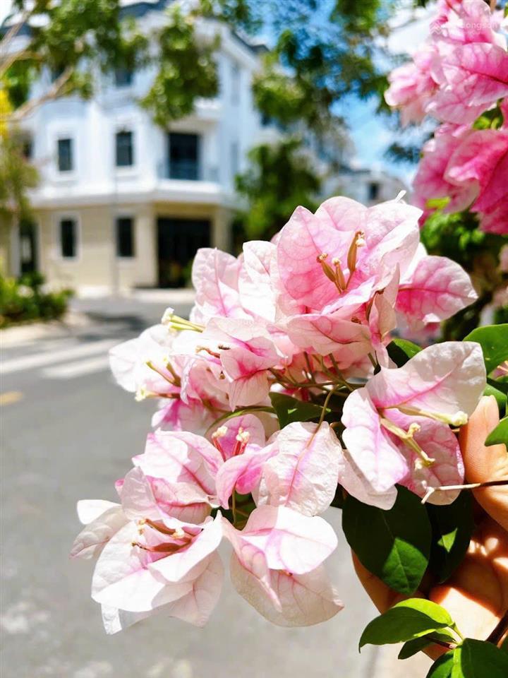 Cần bán shophouse xanh, sạch, đẹp, an ninh 24/7 tại khu thắng lợi central hill, gò đen