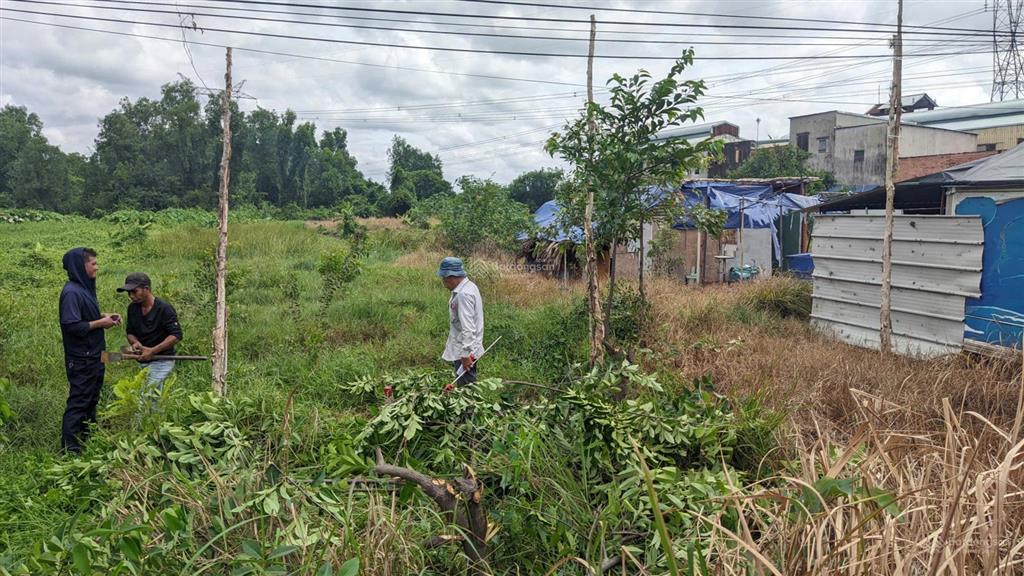 Chính chủ cần bán gấp lô đất 661,5m² sổ riêng tại lê minh xuân (bình chánh cũ), bình lợi, tp.hcm