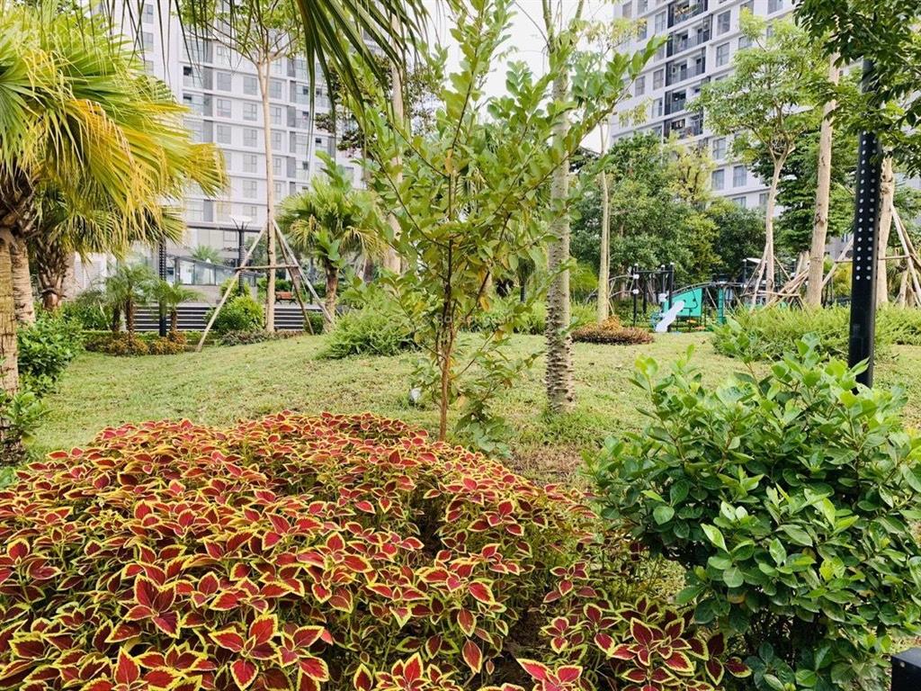 Em minh cư dân mỹ đình peal cập nhật 26 căn hộ 1n 2n 3n chủ nhà tin tưởng gửi bán trong tháng 1