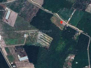 Bán đất 278,8m2 100m thổ cư tại chơn thành