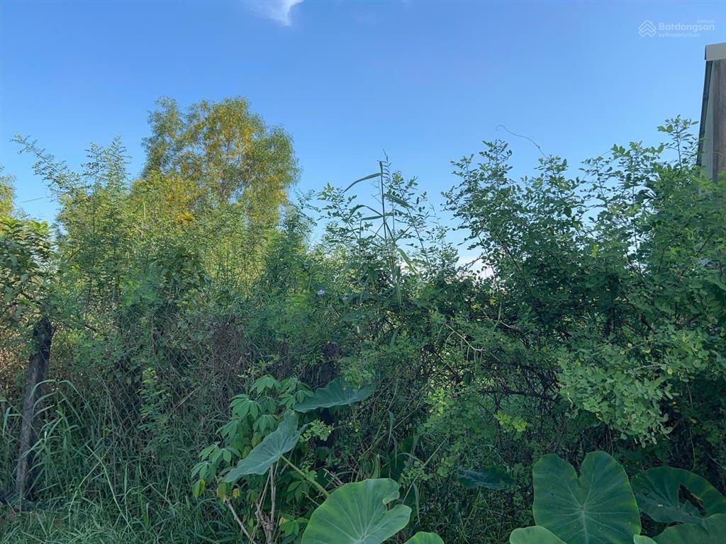 Bán đất bến than đẹp vuông vức thích hợp làm kho xưởng  phân lô  full thổ cư  ~7tr/m2  củ chi