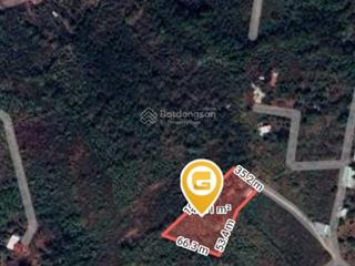 Đất đẹp 4.205m² kim long, thích hợp làm farmstay đầu tư.