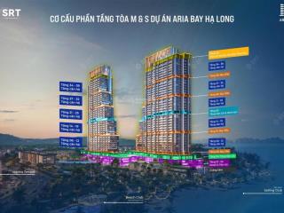 Bán căn hộ 1pn, 1wc tại aria bay tower, hùng thắng, hạ long, 2,3 tỷ, 35m2