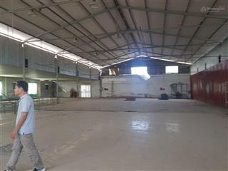 Chính chủ cần chuyển nhượng công ty nông sản đang hoạt động tại tp. yên bái  doanh thu 100 tỷ/năm