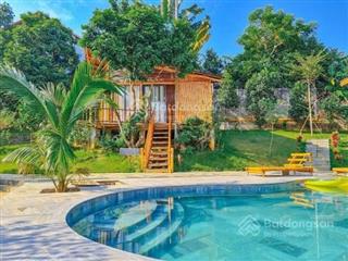 Chính chủ cần bán lô đất lớn có 3.560m2 thổ cư, vị trí đẹp tại cổ rùa  phú mãn  quốc oai
