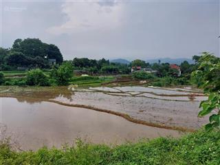 Chính chủ cần bán 2,5ha đất bám suối view siêu phẩm tại lương sơn  phú thọ