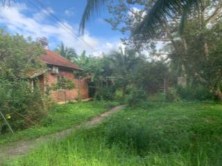 Bán đất 1000m2 + bungalow khai thác kinh doanh gần bãi biển ông lang, phú quốc giá 7.5tr/m2