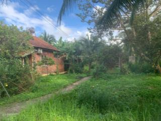 Quỹ đất lớn hiếm hoi có sẵn 11 bungalow và 4 phòng khai thác kinh doanh ngay gần bãi biển ông lang