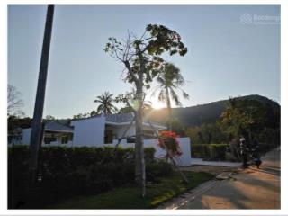 Bán đất xây bt vườn nghỉ dưỡng view trực diện núi khu tượng cực đẹp và mát mẻ,16.5x35m 576.9m2 3 tỷ