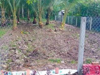 Cần bán gấp  thuận điền, giồng trôm, bến tre, 920triệu/638m2, shr, cách chợ 500m
