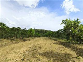 *sang.nhượng đất cln 3,6ha (đã có sổ)