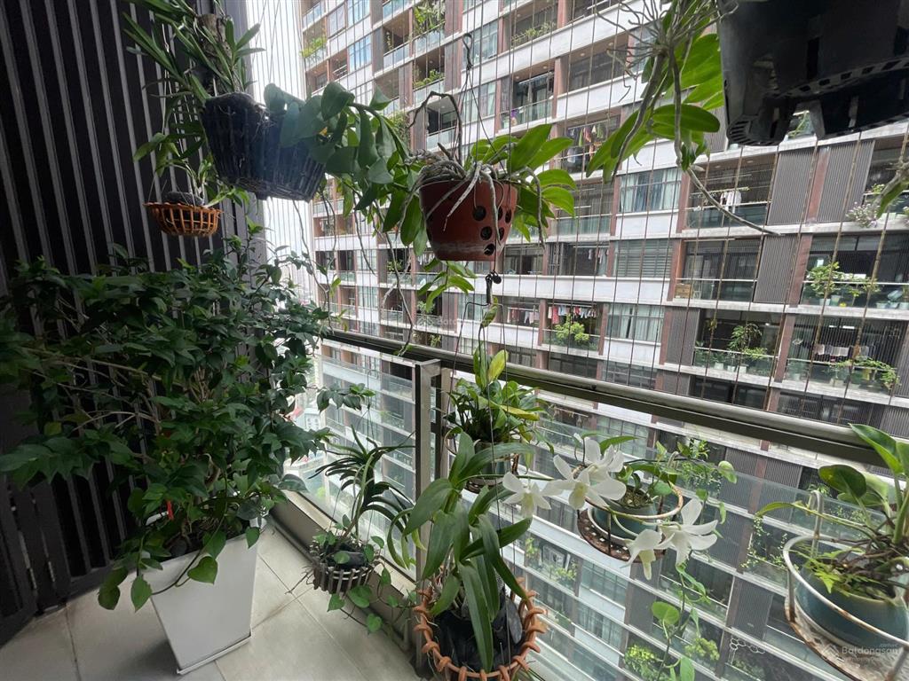 Chủ nhà tin tưởng gửi bán căn hộ 3 phòng ngủ tại dolphin plaza view đẹp, giá tốt nhất thị trường