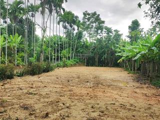 Đất vườn ở lâu dài 330m², 2 mặt tiền  sổ hồng riêng, gần dự án bà nà hill  xây villa, nghỉ dưỡng.