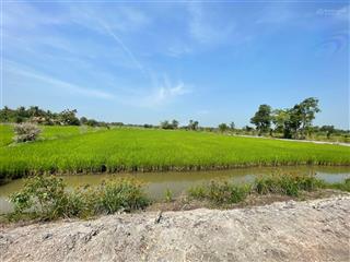 Bán đất 6000 m2 tại xã hòa khánh nam, long an cách tphcm 40km