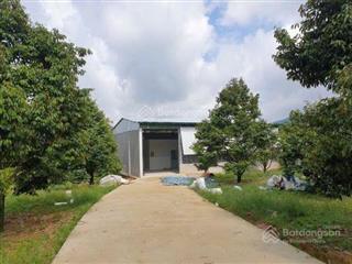 Chỉ 180 triệu sở hữu ngay hơn 2000m2 đất vườn tại chơn thành bình phước. sổ riêng sang tên ngay
