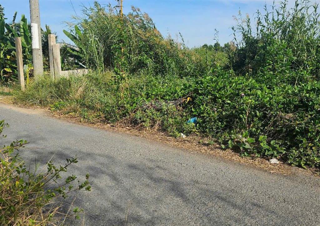 Đất chính chủ  cách tuyến metrol 500m, ga bình khánh 2,5km, 1000m2  5.1 tỷ