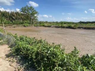 Chính chủ bán đất mt sông rạch cá gấu lớn, cách đường rừng sác 500m