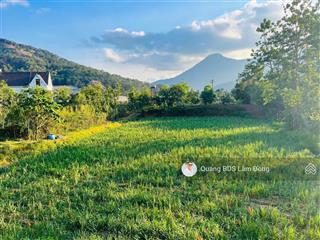 Bán đất 6000 m2 tại định an, xã hiệp an, đức trọng, lâm đồng, giá 17,5 tỷ