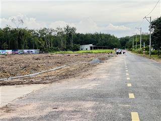 Sang rẻ mãnh đất (55x50=2.750m2) thổ cư shr mt nhựa dh 519 ngay chợ, dân đông giá 140 tr/mét ngang