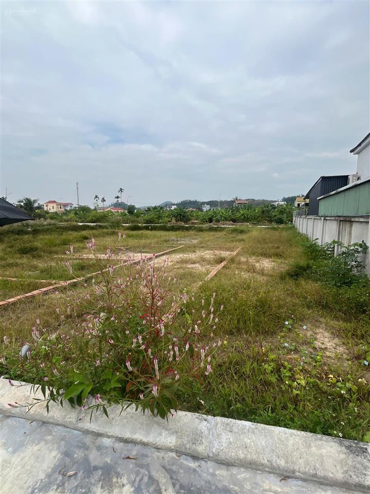 Bán đất trung tâm an lão từ 500 đến 2 tỷ