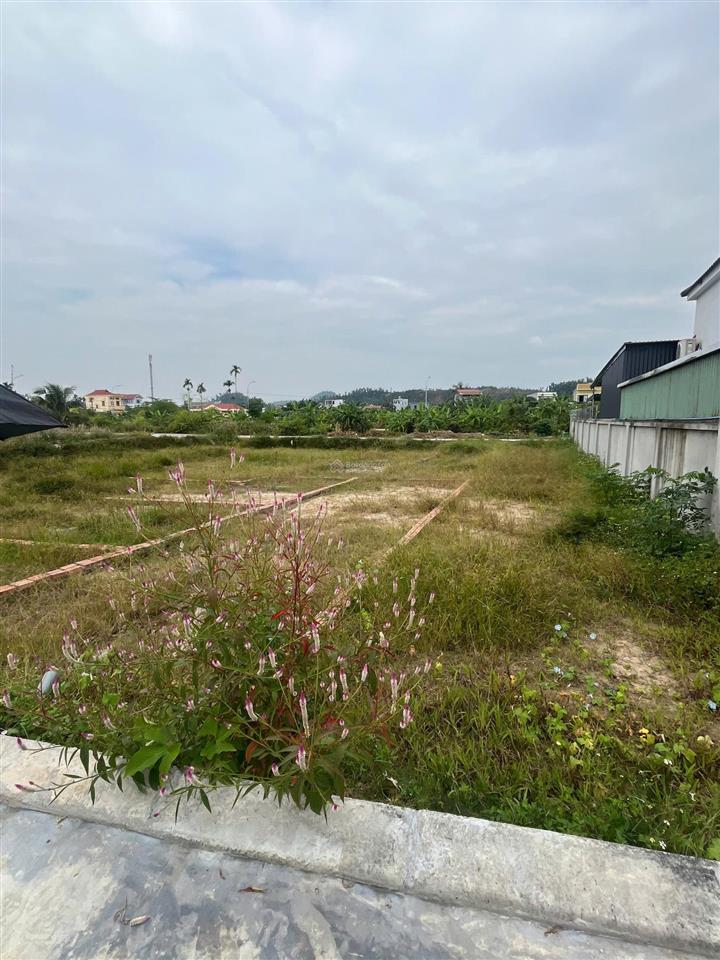 Bán đất khu vực an lão từ 500 đến 2 tỷ