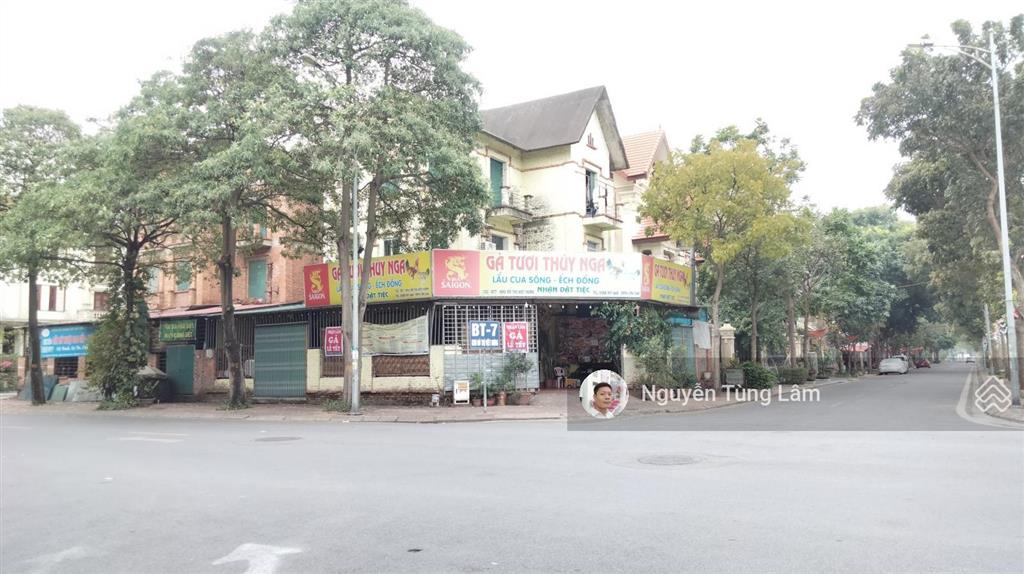 Siêu hiếm biệt thự khu đô thị việt hưng 220m2 lô góc mặt đường kinh doanh