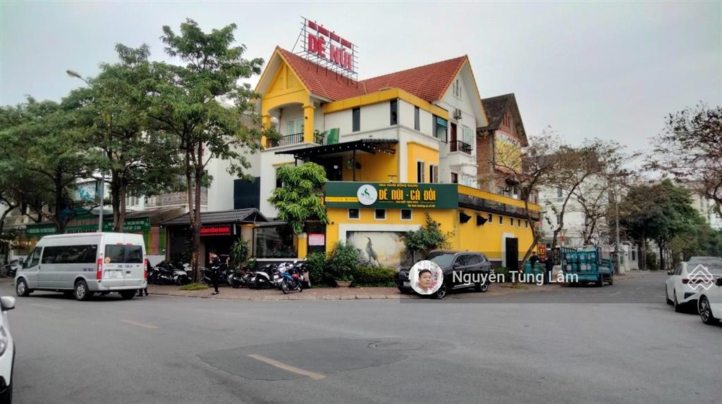 Siêu hiếm biệt thự khu đô thị việt hưng 220m2 lô góc mặt đường kinh doanh