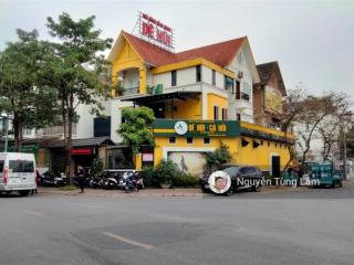 Siêu hiếm biệt thự khu đô thị việt haưng 220m2 lô góc mặt đường kinh doanh