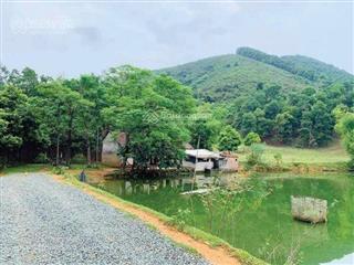 Chính chủ bán 1080m2 đất đẹp siêu rẻ tại xã minh quang, ba vì, giá chỉ 2.3 tỷ
