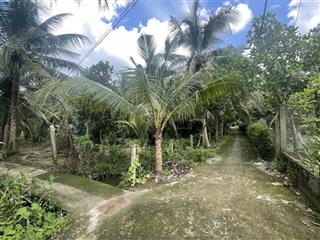 Bán đất 2187m2 tại đường bờ sao, ấp thạnh hòa, xã long hưng, châu thành, tiền giang, 1,7 tỷ